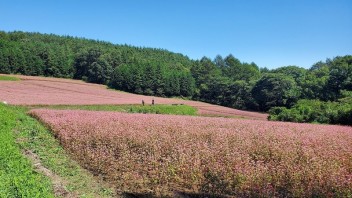 ちょっと県内を・・・