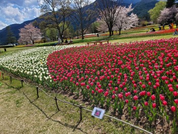 ちょっと県内を・・・うろうろ