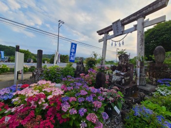 あじさい神社