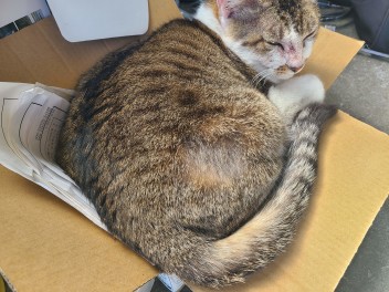 ５月スタート