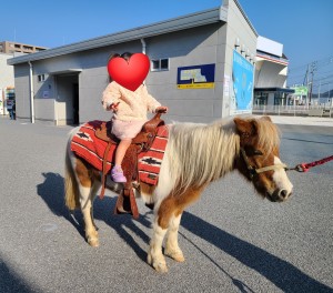 四万十ふれあい動物村ブレーメン