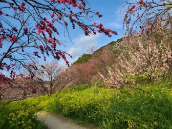 西川花公園