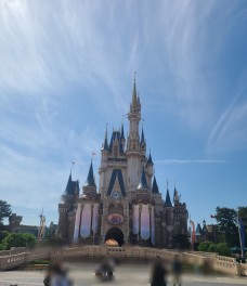 ディズニーランド！（休日日誌）