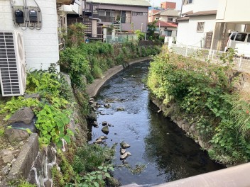 浪人川の清掃を行いました