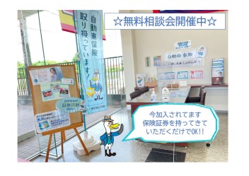 自動車保険その内容で大丈夫ですか？？