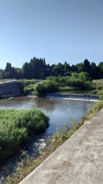 西の気まぐれ釣果日記④