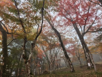 稲荷山公園