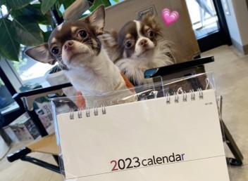 2023年度カレンダー配布中♪