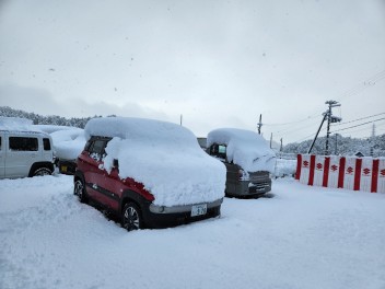 雪がすごい！！