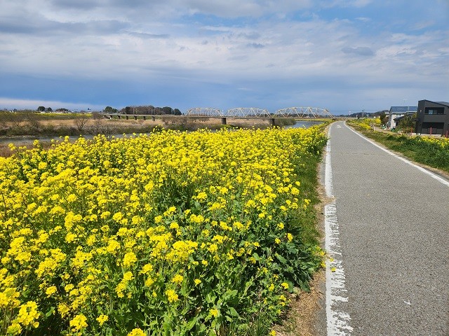 なのはな