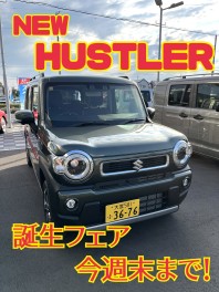 ハスラー誕生フェア☆今週末まで！！