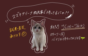 スズキの日開催中！！