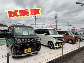 試乗車あります！