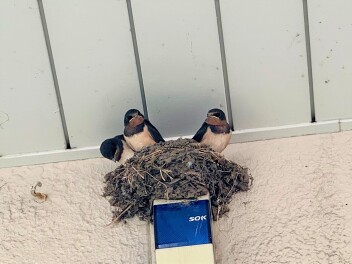 夏季休業のお知らせ