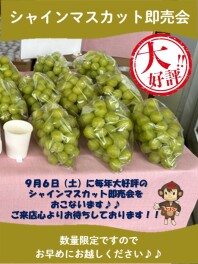 9月6日のイベントでシャインマスカット即売会開催します！