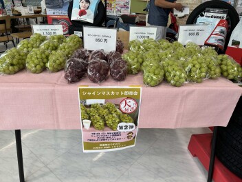 本日、好評につきシャインマスカット即売会を開催します♪♪
