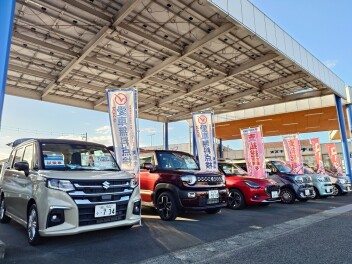 11月もスズキの日いかがですか？