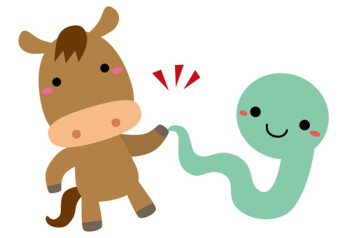 ❅年末年始休業のお知らせ❅