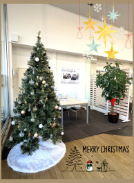 いよいよクリスマス～店内もクリスマスツリーが飾られています～