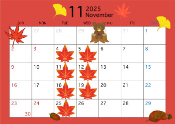 11月のカレンダー☆彡