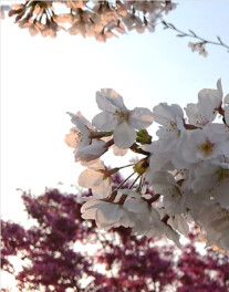 新年度スタート！