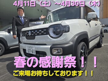 ✿春の大感謝祭開催いたします✿