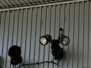 今年も帰ってきてくれました♪♪