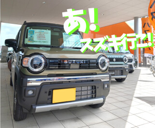 あ！スズキ行こ！