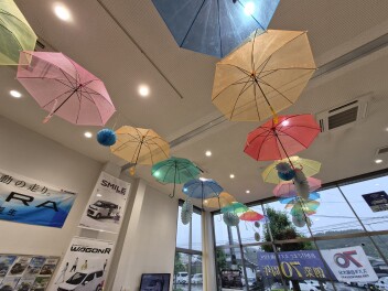 雨傘が満開になりました