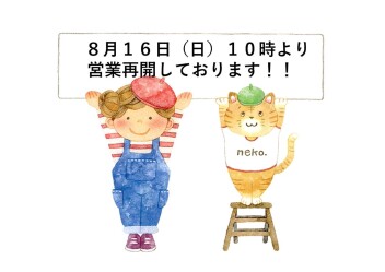 本日から営業再開です‼