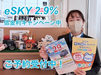 新型e SKY 低金利キャンペーン！