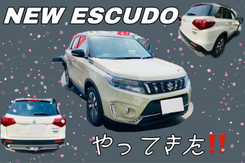 NEW　ESUCUDO　がやってきた～～～！！！！