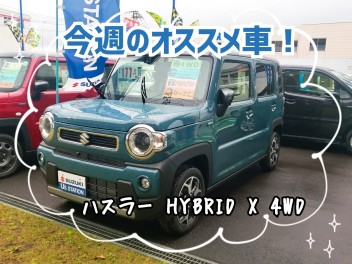 今週のオススメ車の時間だァ！