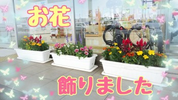 あつぎ店ショールーム入り口にお花を飾りました ♪