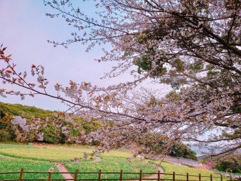 ４月になりました★