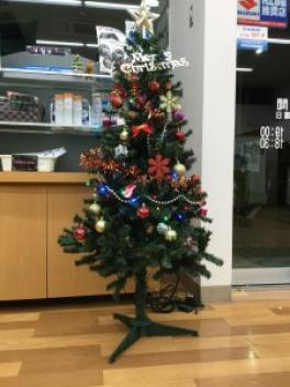 大感謝祭＆クリスマス！