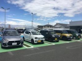 試乗車揃ってます！！