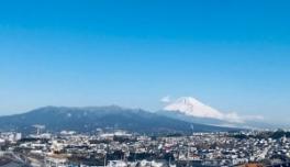 今週末も県下一斉スズキの日☆