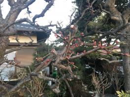 次回予告