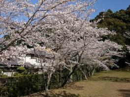 ４月になりました♪