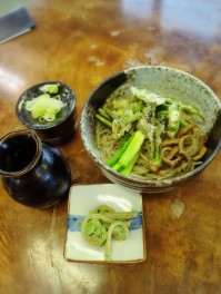 春のぶっかけを喰らうの巻　入広瀬　手打ち蕎麦平石亭　麺人　麺狂い　麵紀行