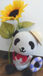 夏！☀