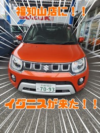 イグニスが試乗車に！！！