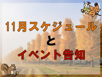 11月スケジュールとイベント告知 ～しれっと12月日程予約開始のお知らせ～