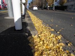 道路に落ちてるアレにご注意！