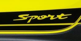 新型スイフトスポーツ★専用デカール