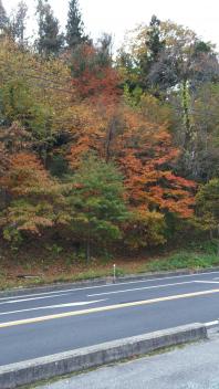 ☆紅葉