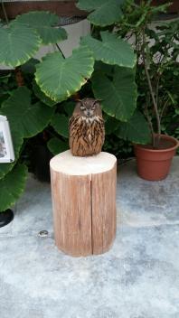 ☆掛川花鳥園！
