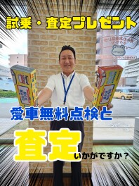 お車の試乗・査定いかがですかーーーーーー？