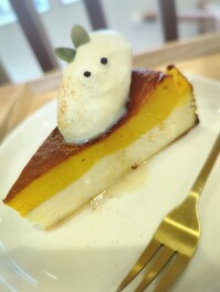 パンプキンバスクチーズケーキしか勝たん　長岡　干場　Come　sta?  Cafe男子のスイーツ巡り